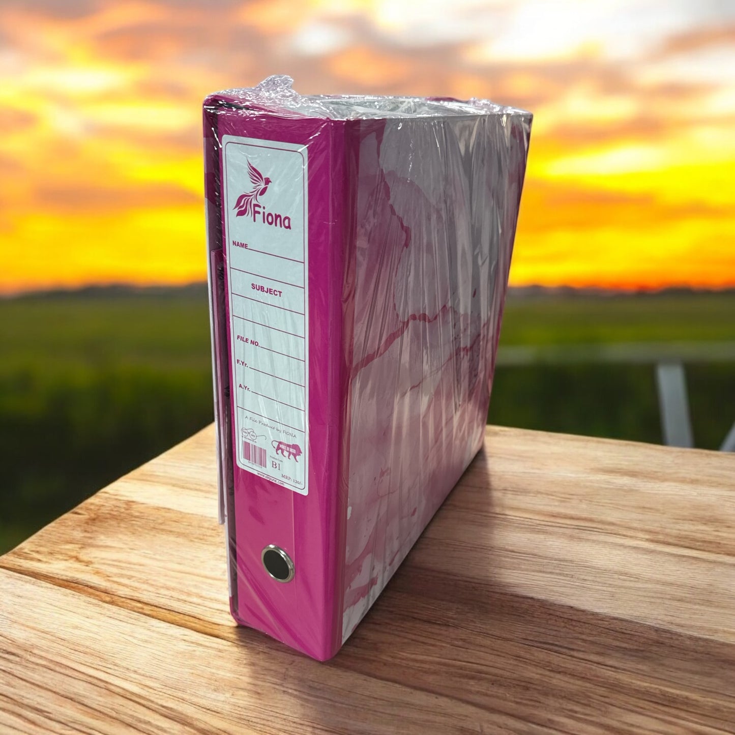 B1 Diamond Box File Pack of 4 Pcs