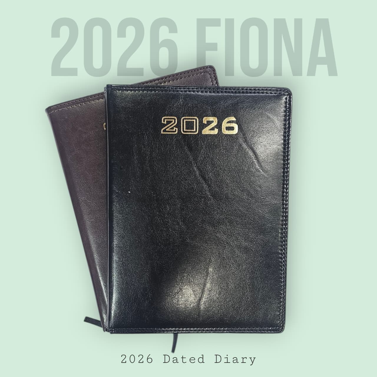 Black 2026 dated diary on a light green background